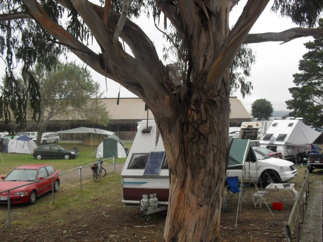 sdc17279.jpg