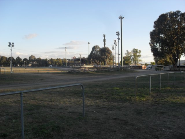 sdc17382.jpg