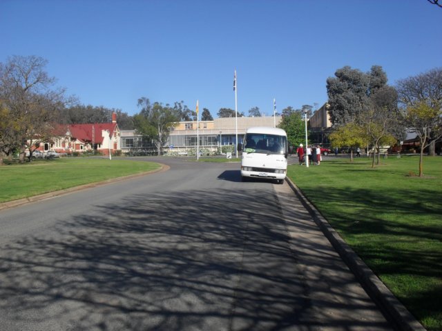 sdc15990.jpg