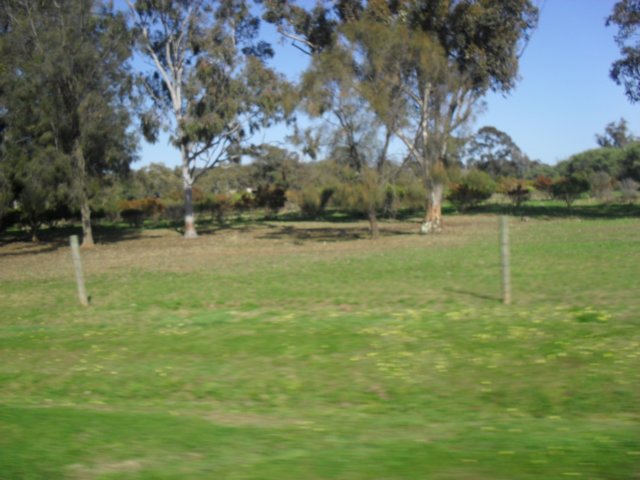 sdc16032.jpg