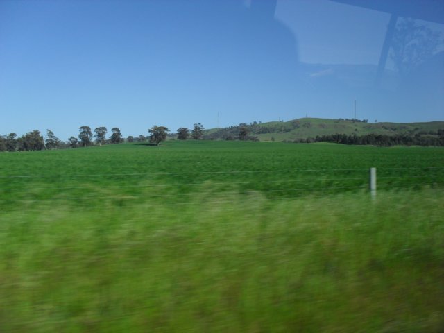 sdc16035.jpg