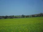 sdc16043_small.jpg