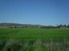 sdc16044_small.jpg